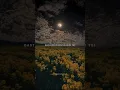 Download Lagu Main Dhoondne Ko Zamaane Mein 🖤💔 | Aesthetic lyrics status | Sad status #trending #shorts #trending