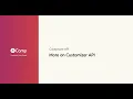 More on Customizer API