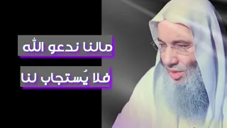 س ئ ل إبراهيم بن أدهم مالنا ندعو الله فلا ي ستجاب لنا لفضيلة الشيخ الدكتور محمد حسان 
