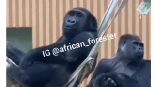 nyonyoma mwaisa lazima ucheke part 1 dakika 6