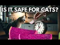 Can cats eat dragon fruit Is dragon fruit safe for cats