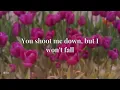 David Guetta feat. Sia - Titanium | Lyrics