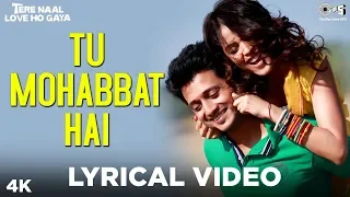 tu mohabbat hai lyrical tere naal love ho gaya atif aslam monali priya riteish genelia