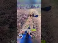 Download Lagu When a Bear Meets a Gun#animals #wildlife #help #bear