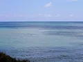 Download Lagu **CHEIRINHO DE MULHER .  GLORIA GADELHA E SIVUCA  .. POR LUCIA MENEZES  ..**Muito lindo Forro..**