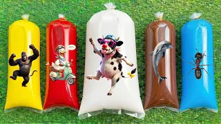 wadidaw unboxing hewan sapi bebek angsa squid gorilla lumba lumba di dalam plastik warna warni