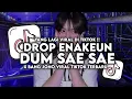 Download Lagu DJ DROP ENAKEUN X DUM SAE SAE X BANG JONO X SUWUNG VIRAL TIKTOK TERBARU 2025