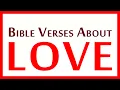 Best Bible Verses About LOVE
