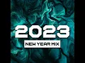 Download Lagu New/Year Music 2023 (Best EDM Party Mix)