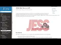 JESS part 3 - Using JESS API with Python and cURL