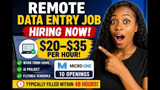 Remote Data Entry Job Hiring Now 20 Work From Home AI Project