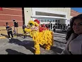 Chinese Lion Dance - H Mart Grand Opening