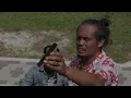 Download Lagu SAKA BAPAK KAU