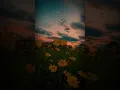 Download Lagu Bas tum himmat mat harna || whatsapp status || motivation video || female version status #shortvideo
