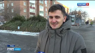В Омске открылись ёлочные базары