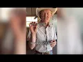 Doctoring Cattle in the Pasture Field Story from Redwing Ranch Pneu Dart
