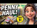 Dollar Tree Penny Shopping INSANE Haul 2 FULL Displays Shopping Cart of Flower Bulbs