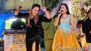 herla nada harapan hampa dangdut orgen tunggal 