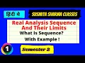 Real Analysis Sequence And Their Limits Paper 3 Semester 2 L1
