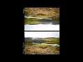 Maggie Rogers - Alaska (Official Release)