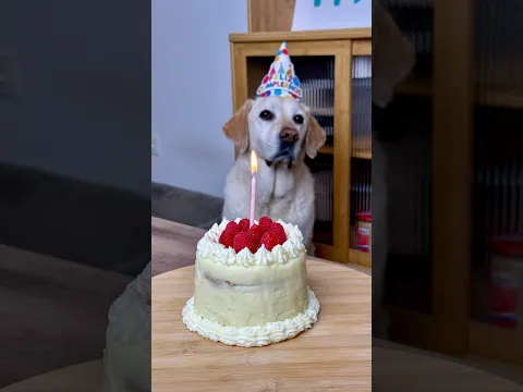 Iris Cumple 10 Añitos ❤️