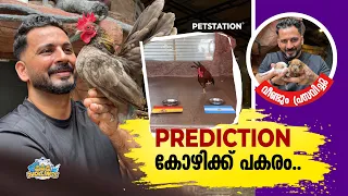 ചവിട്ടിപ്പോയ കോഴിക്ക് പകരം രണ്ട് കോഴിയേ വങ്ങി.. നമ്മുടെ ഡോഗ് പ്രസവിച്ചു, രണ്ട് മക്കൾ. Puppy 🐶