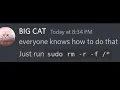 When they say Run rm - rf