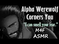 Download Lagu [M4F] Werewolf Alpha Corners You (ASMR), (M4F ASMR), (WEREWOLF ASMR)