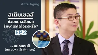 สเตมเซลล์คืออะไร และมีบทบาทอย่างไรในการซ่อมแซมหรือสร้างอวัยวะใหม่