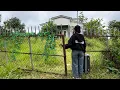 Download Lagu Poor Girl Uses All Her Savings to Bid on $3,000 Abandoned House – The Truth Will Shock You!