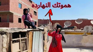 حال كل واحد فينا فترة الامتحانات ويوم النتيجه Bassem Otaka اوتاكا  حال كل واحد فينا فترة الامتحانات ويوم النتيجه Bassem Otaka اوتاكا