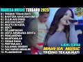 Download Lagu TRESNO TEKAN MATI - AJENG FEBRIA - MAHESA MUSIC TERBARU 2025 FULL ALBUM