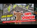 Lagu LURAH WADAS SAT SET TANPA SPANDUK‼️BANYAK KARYA YG TOLAK NORMALISASI KALI WADAS KRN BYK KEPENTINGAN