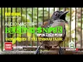 Download Lagu MASTERAN BURUNG SNIPER { TEPUS DADA PUTIH } GACOR, NGEBREN \u0026 FULL TEMBAKAN TAJAM