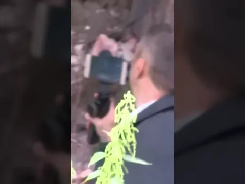Сарапул допотопный #shorts