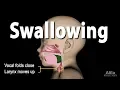 Mechanism of Swallowing Animation in Child model