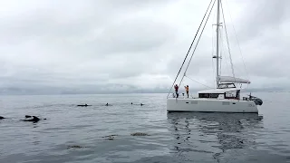 WATERSPORT TV Special GREATCIRCLE