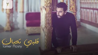 قلبي تعبان   تامر حسني                                       دندنها