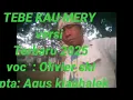 Download Lagu kAU MERY  versi terbaru 2025