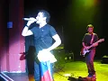 GRATITUD - FONSECA