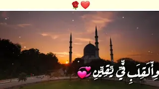 ماهر الزين رضيت بالله ربا وبل اسلام دينا حالات واتس في حماك ربي غايتي رضاك 