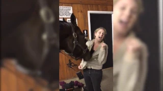 Horse Plays With Girl S Hoodie 