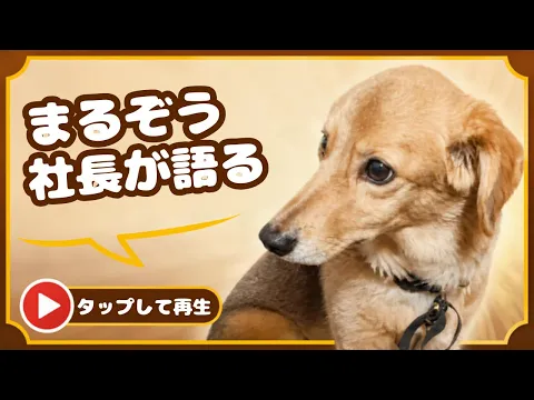 ★2台以上なら一台5980円★秋の複数台割！ご近所さんの味方！エリア限定！