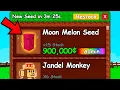 Download Lagu Starting Over But You Can Buy MOON MELON Seeds