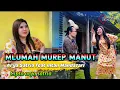 Download Lagu MLUMAH MUREP MANUT - INTAN MANDASARI Feat ARYA SATRIA