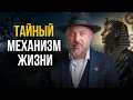 Lagu Сны и кризисы: как их интерпретировать правильно