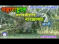 Download Lagu Coconut varieties for plantation in Maharashtra