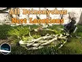 All Deinonychus egg and Nest Spawn locations In Valguero Ark Survival Evolved