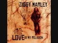 Beach in Hawaii - Ziggy Marley