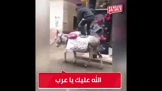 العين فلقت الحجر مشهد كوميدي  العين فلقت الحجر مشهد كوميدي